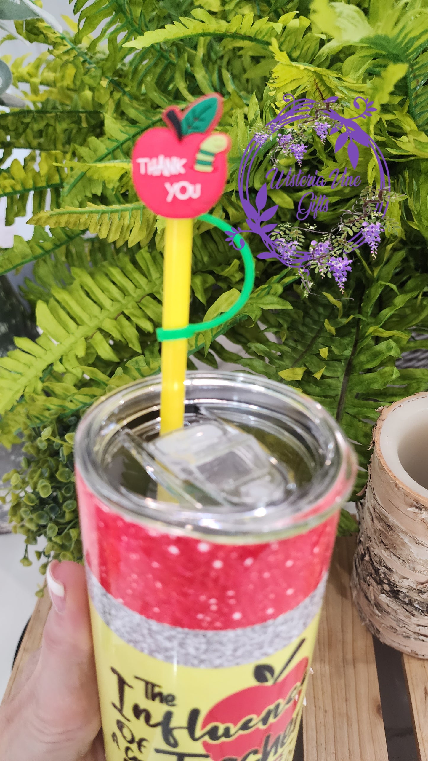 20oz The Influence of a Good Teacher Stainless Steel Double Walled Tumbler (w/yellow straw and apple topper)
