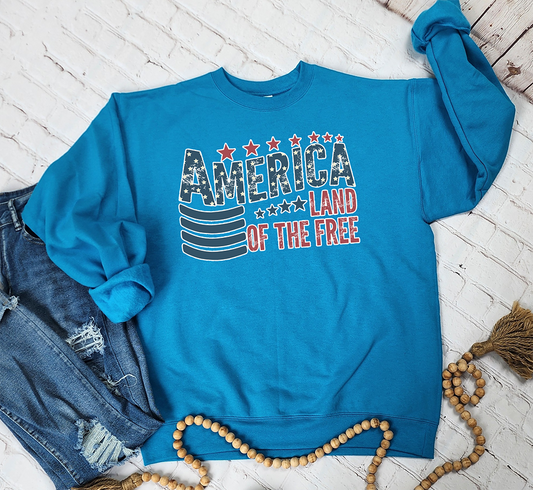 America Land of The Free DTF Hanes Ecosmart Sweatshirt